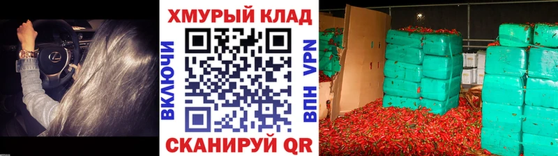 ГЕРОИН хмурый Кострома