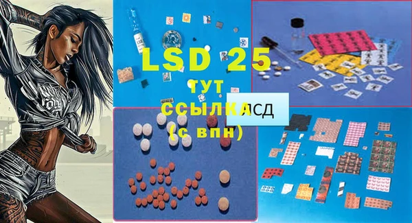 прущие крисы Надым