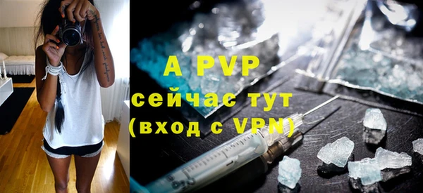 прущие крисы Надым
