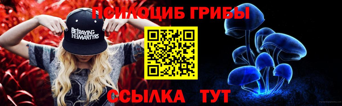 Галлюциногенные грибы MAGIC MUSHROOMS  как найти   Кострома  Галлюциногенные грибы прущие грибы  Вход с VPN 